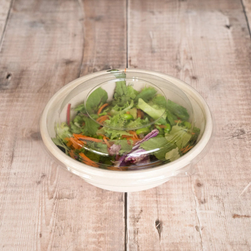 Eco-Friendly Home Compostable Bagasse Buddha Bowls Ideal for Salads