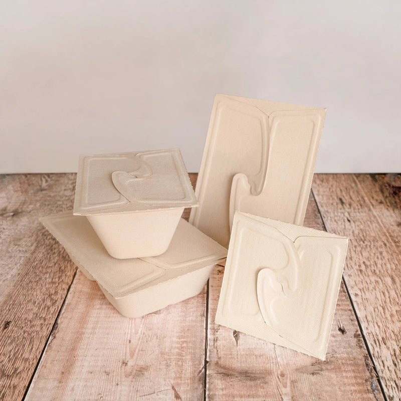 Home Compostable Bagasse Meal Boxes Sustainable and Convenient Solutions